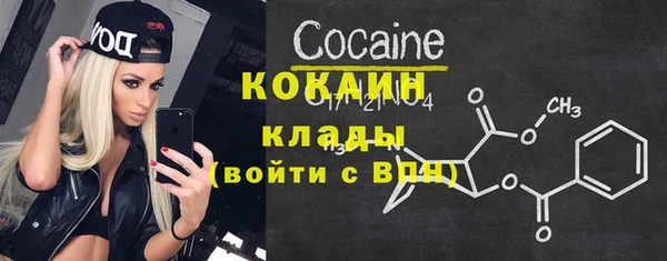амф Дмитриев
