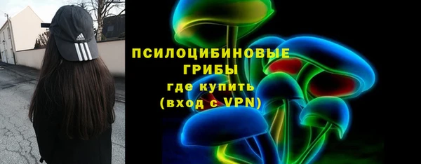 PSILOCYBIN Дмитровск