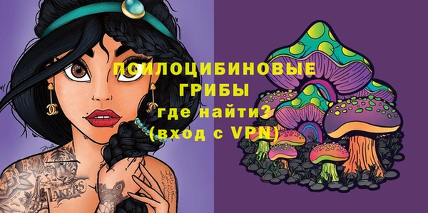 спиды Дмитров