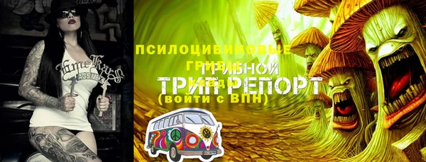 амф Дмитриев