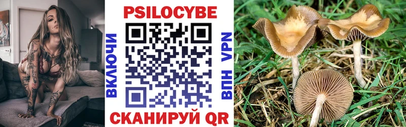 Галлюциногенные грибы MAGIC MUSHROOMS где можно купить мега ссылки Октябрьск